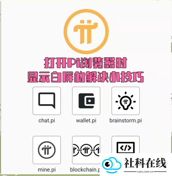 PI浏览器1.171