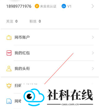 去上网