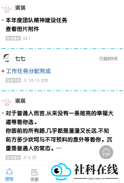 赛效