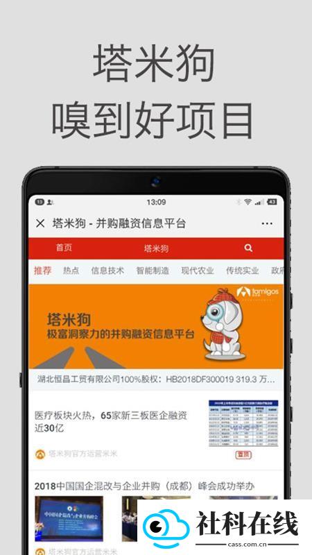 塔米狗