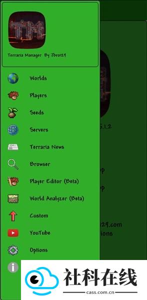 Terraria Manager