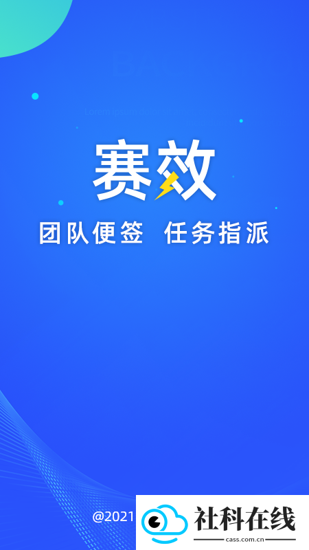 赛效