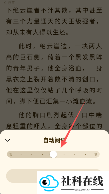 抖看小说高级版