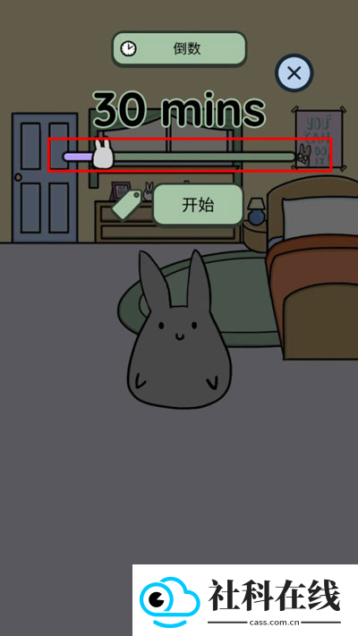 Study Bunny中文版