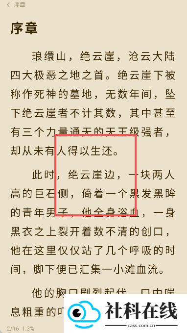 抖看小说高级版