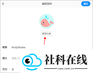 论否app