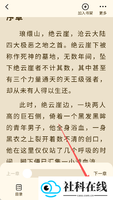 抖看小说高级版