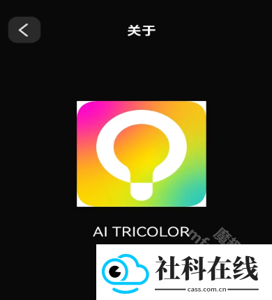 AI TRICOLOR