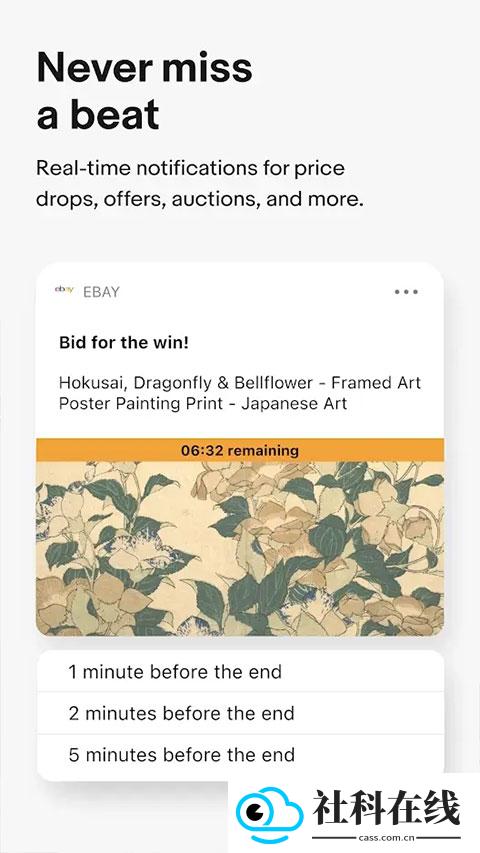 ebay跨境电商平台