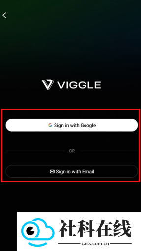 viggleAI中文版