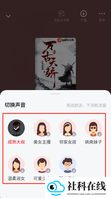 纵横小说