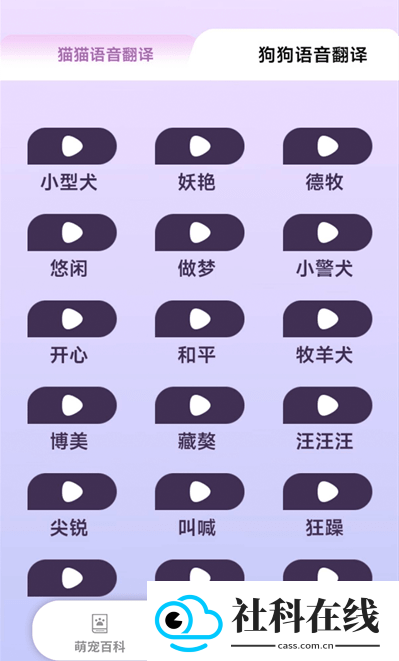 乖宠互动