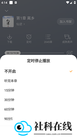 茶梅