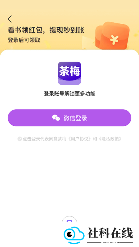茶梅