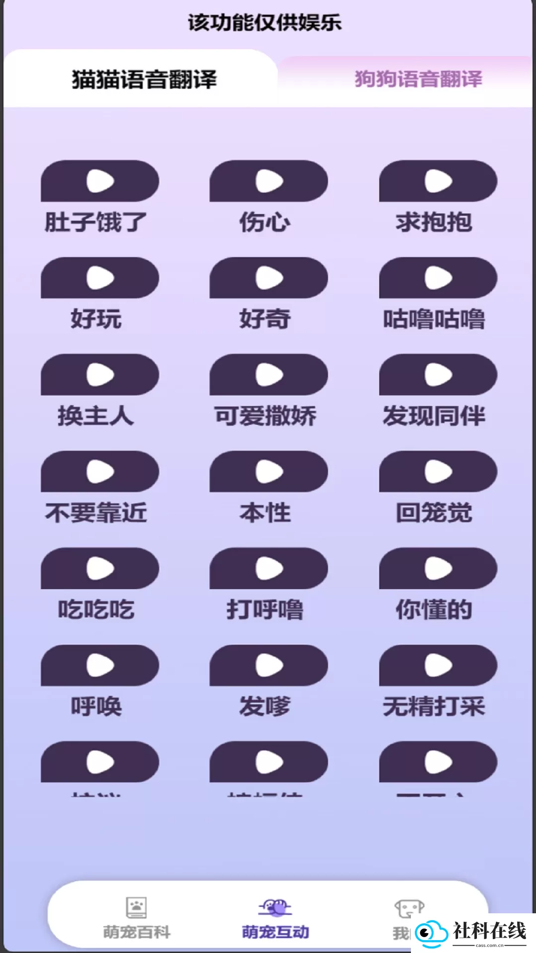 乖宠互动