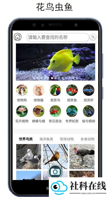 万物识别扫一扫