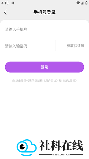 茶梅