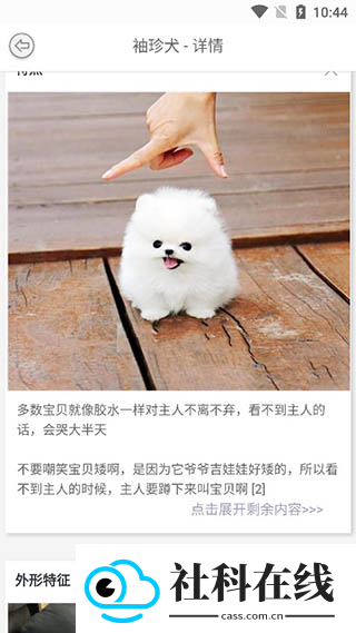万物识别扫一扫