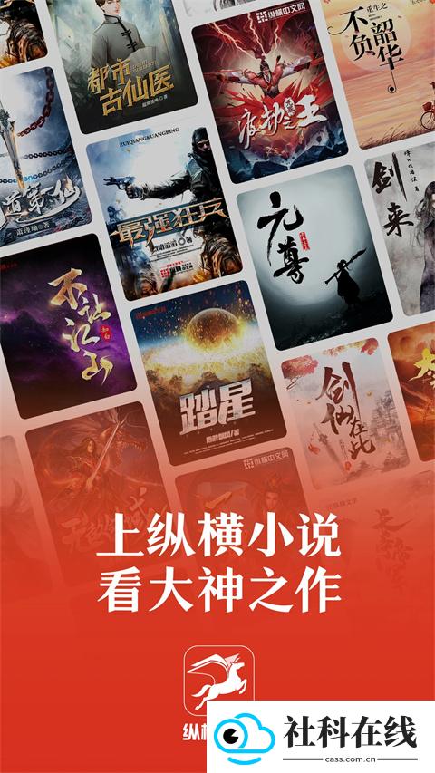 纵横小说