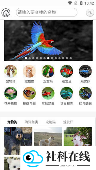 万物识别扫一扫