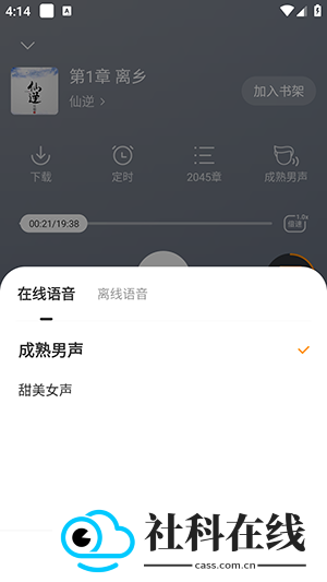 茶梅