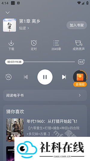 茶梅