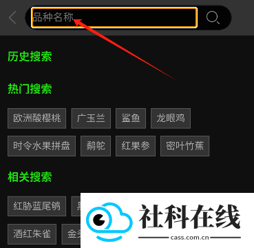 万物识别扫一扫