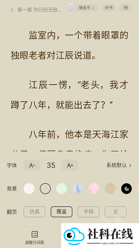 茶梅