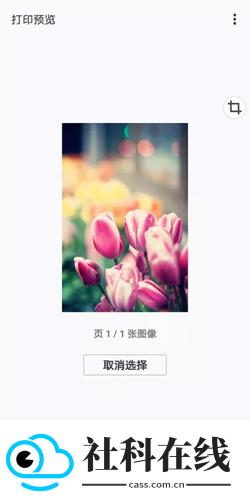canon print安卓版