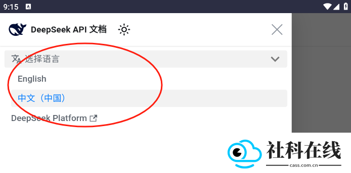 deepseek提示库