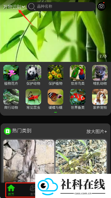 万物识别扫一扫