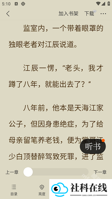 茶梅