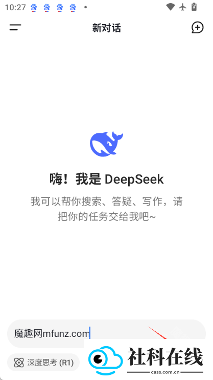 deepseekapp