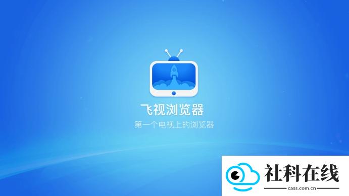 飞视浏览器