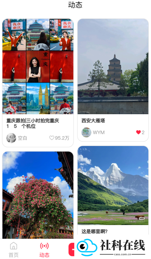 杉选在场