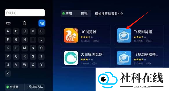 飞视浏览器