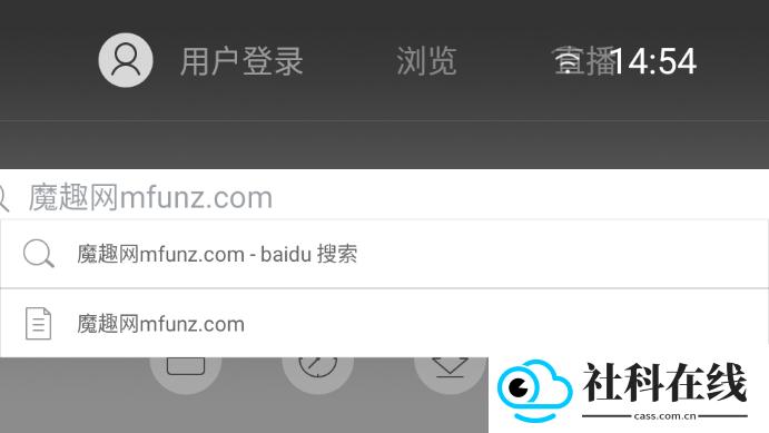 飞视浏览器