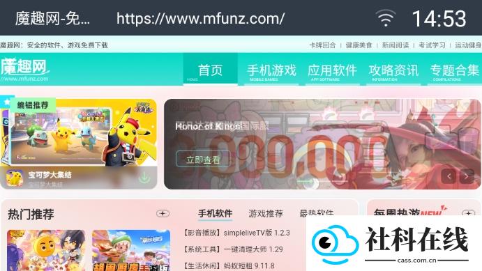 飞视浏览器