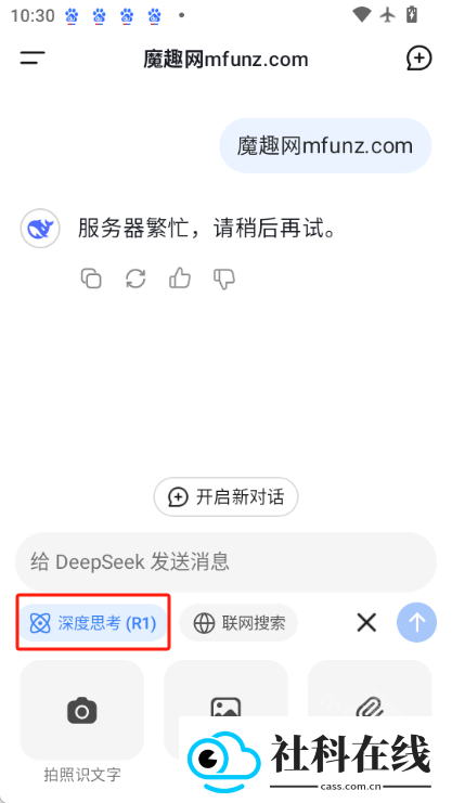 deepseekapp