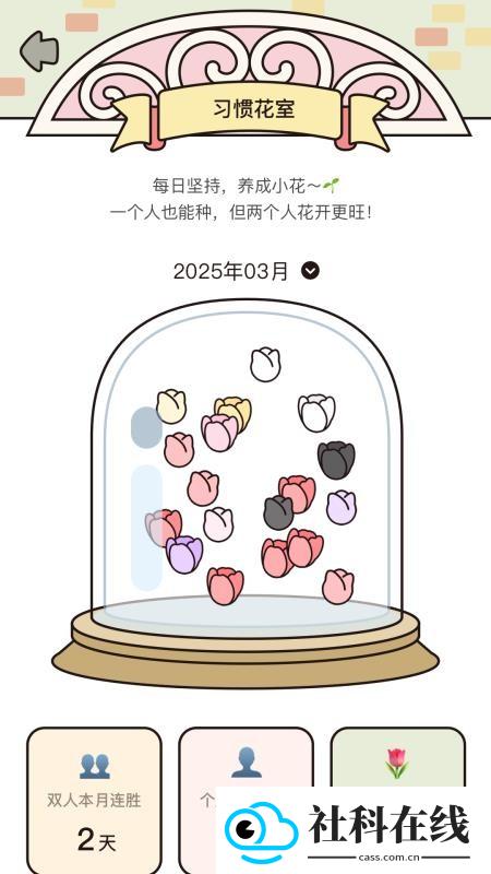 吱吱小岛