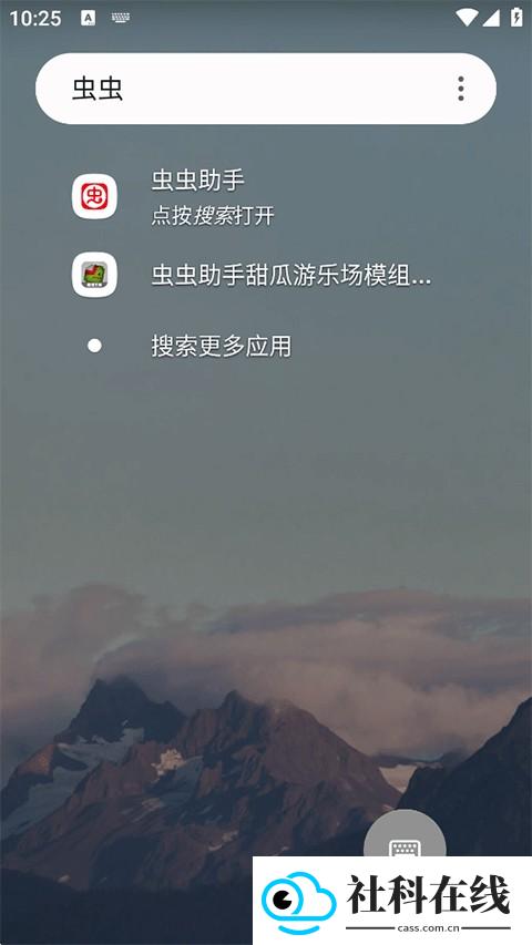 Niagara Launcher启动器