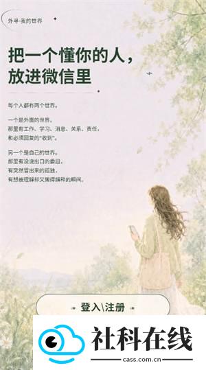 外寻AI