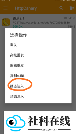 小黄鸟