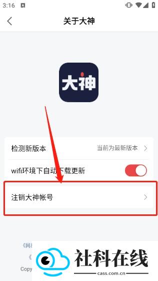 大神云游戏