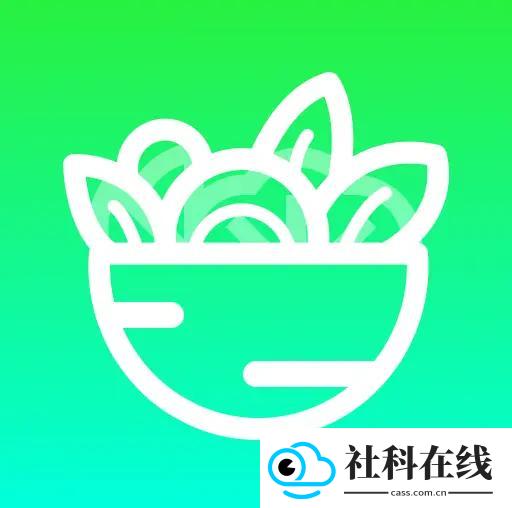 日常轻断食