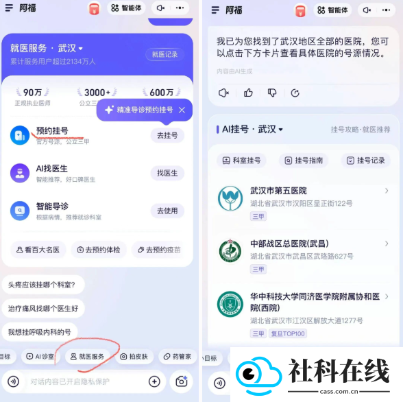 蚂蚁阿福