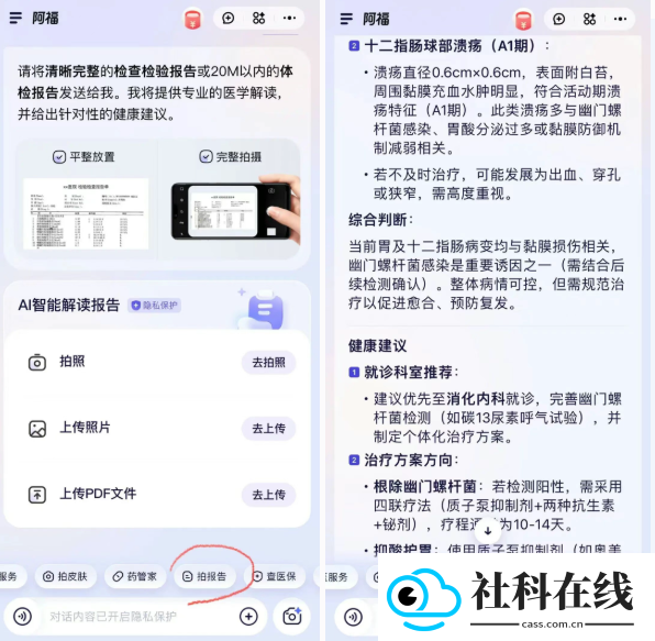 蚂蚁阿福