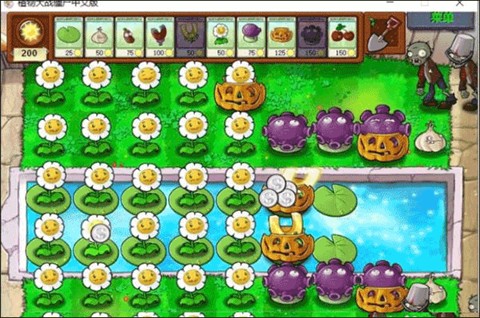 植物大战僵尸原版