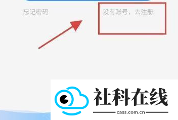 电子魅魔聊天软件