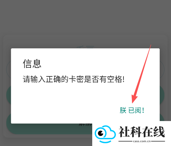 毛豆直装